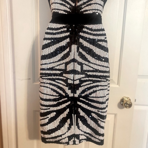 “BEBE” Zebra Stripes Sequin & Mesh Dress - Picture 8 of 11